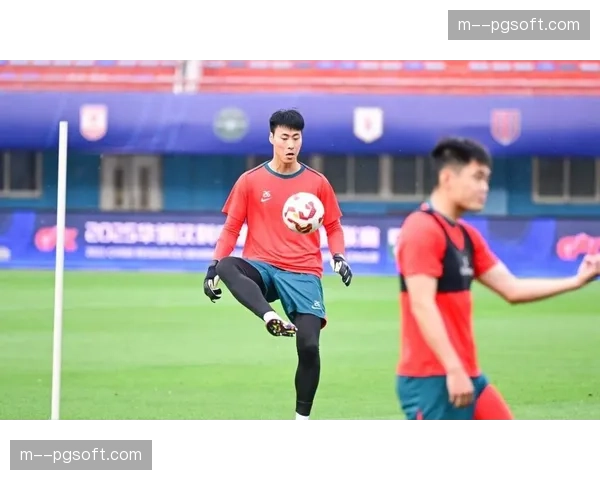 河南队官宣6人加盟同时续约核心，古斯塔沃回归补强锋线